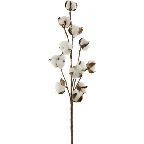 16" 9 Pod Cotton Stem